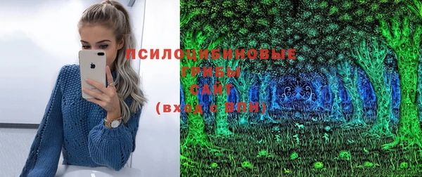 ПСИЛОЦИБИНОВЫЕ ГРИБЫ Алексеевка