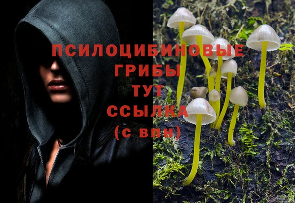 амф Алзамай
