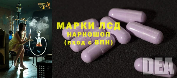 ПСИЛОЦИБИНОВЫЕ ГРИБЫ Алексеевка
