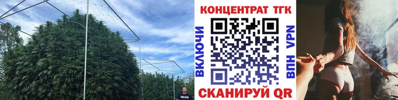 Дистиллят ТГК гашишное масло  это официальный сайт  Краснознаменск 