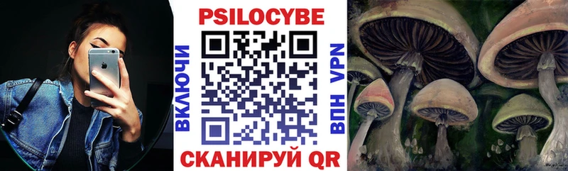 Псилоцибиновые грибы MAGIC MUSHROOMS  как найти   МЕГА маркетплейс  Краснознаменск 