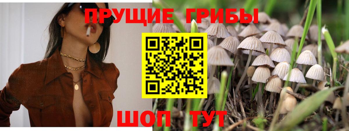 Краснознаменск  Псилоцибиновые грибы мухоморы  Псилоцибиновые грибы Magic Shrooms  Вход с VPN 